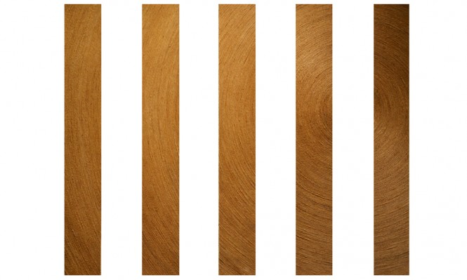 Daniel van de Velde, Étendre