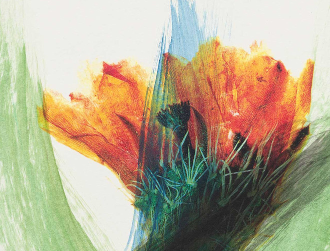 Arnulf Rainer, Sans titre, c.2000 (Détail). Technique mixte sur papier monté sur bois — 45 × 32 cm. Courtesy of the artist & Galerie Lelong & Co, Paris