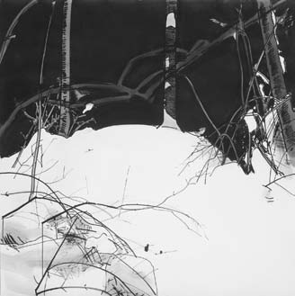 Nils-Udo, 1166, encre de chine sur papier, 1989, 156 x 156 cm © Nils-Udo