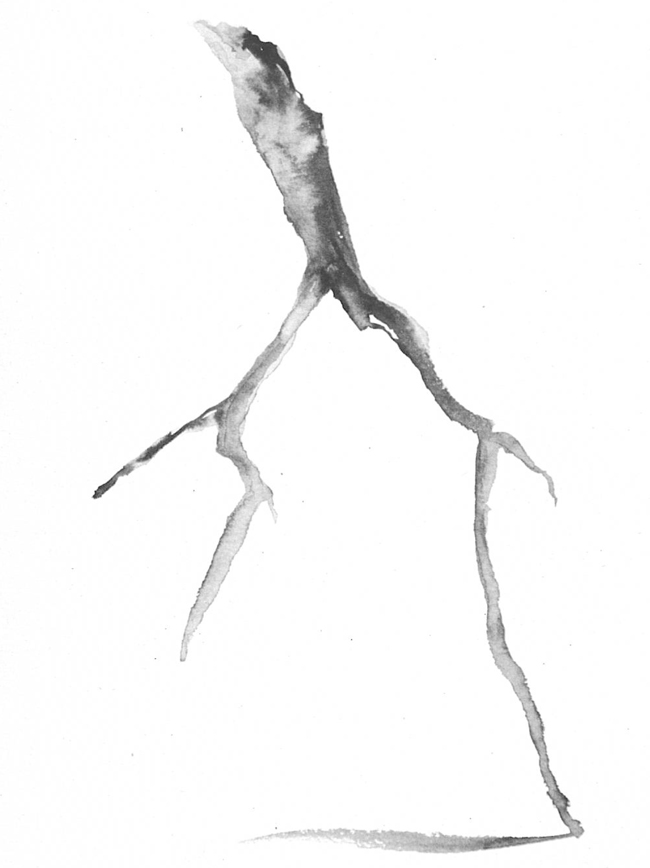 Stéphane Thidet, Esquisse préparatoire de Solitaire, 2016. Aquarelle et encre de chine sur papier. Courtesy Galerie Aline Vidal