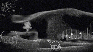 Hiraki Sawa, Hidden Tree, vidéo, 2007 © Hiraki Sawa, Londres, 2010