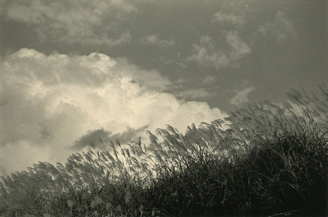 Masao Yamamoto