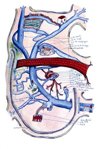 Mathias Poisson, Graphie du déplacement