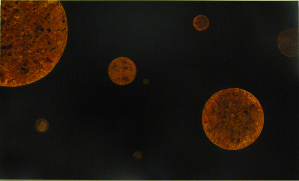 Samuel Rousseau, Casei, 2007. Fondation Salomon, 2010