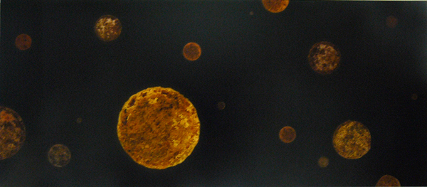 Samuel Rousseau, Casei, 2007. Fondation Salomon, 2010