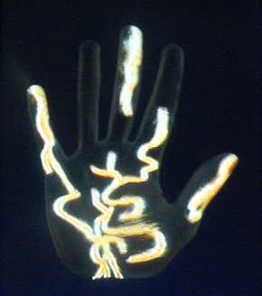 Samuel Rousseau, Fluide, 2009. Extraits de l'installation à la Fondation Salomon (six oeuvres)