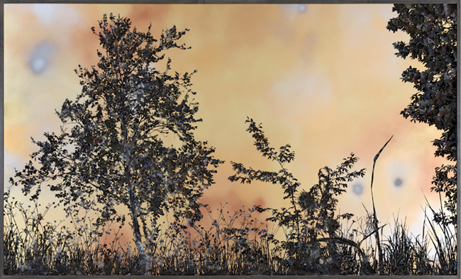 Stefan Sehler, Untitled, 2009. 185 x 305 cm. Courtesy Galerie Baumet Sultana