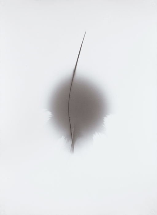 Thomas Paquet, Et pendant ce temps le soleil tourne, S 19-1. Courtoisie Galerie Thierry Bigaignon, Paris