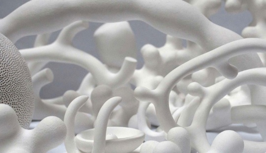 Thomas Salet, ensemble de céramiques peintes (détail) &nbsp;© Galerie Frédéric Lacroix