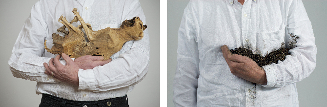 Lois Weinberger, de gauche à &nbsp;droite : Untitled, 2014 © Studio Weinberger, courtesy : Salle Principale, Paris / Holding the Earth, 2010 © Studio Weinberger, courtesy : Salle Principale, Paris