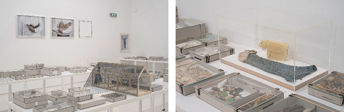 Lois Weinberger, Debris Field, 2010-2016 © Studio Weinberger, courtesy : Salle Principale, Paris. Photos Mathias Voelze