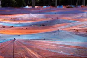 Dimitri Xenakis, Ondes et lumières, parc du Manoir de Cugnaux, 2009