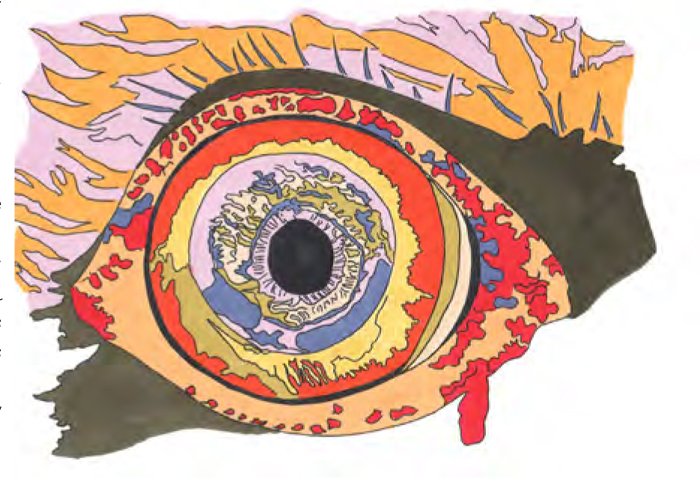 © Virginie Yassef / Galerie Georges-Philippe t Nathalie Vallois